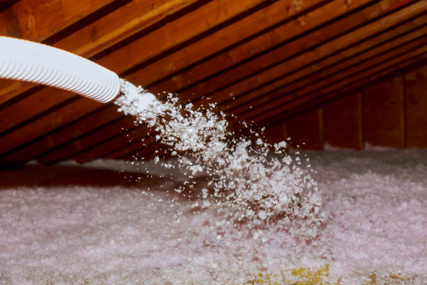 Insulation Inspection Services in Rolling Meadows, IL