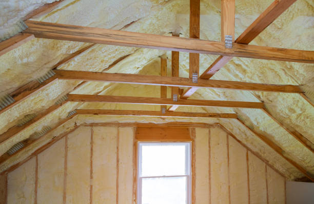Best Home Insulation Services  in Rolling Meadows, IL