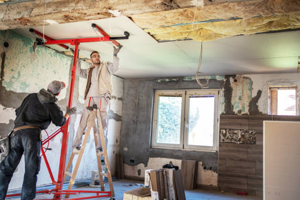 Best Cellulose Insulation  in Rolling Meadows, IL