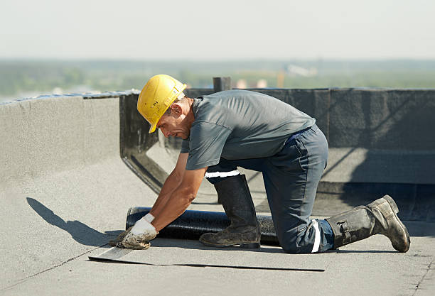 Best Attic Insulation Installation  in Rolling Meadows, IL