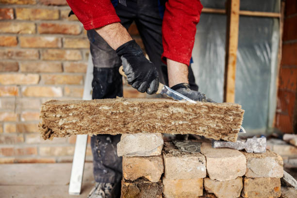 Best Insulation Replacement Services  in Rolling Meadows, IL