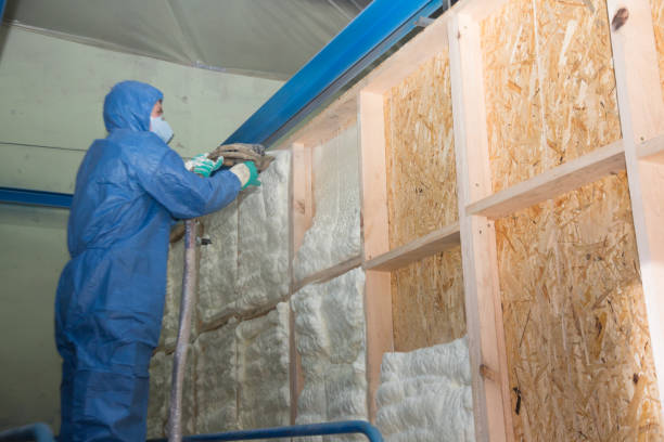 Best Crawl Space Insulation  in Rolling Meadows, IL