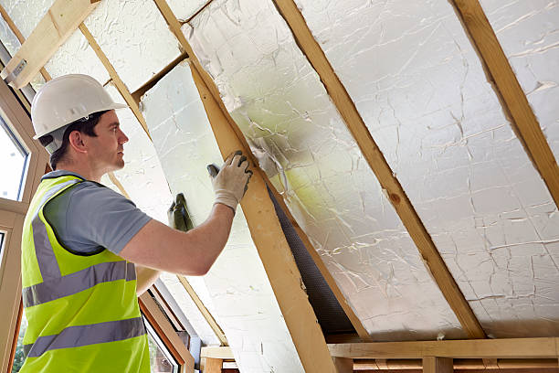 Best Insulation Contractors for Homes  in Rolling Meadows, IL